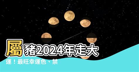 1971豬幸運色2024|1971豬2024年開運色秘訣